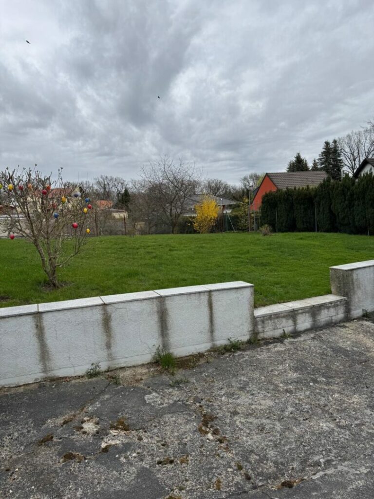 03_image2