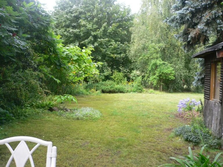 Blick vom Bungalow aus