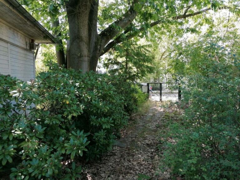 463fd41a-ade5-4a26-b48b-e3ed49cb0087