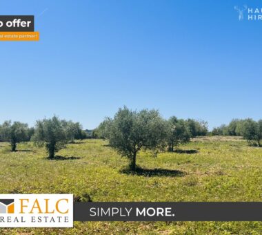 [Cover] Ansicht Grundstück