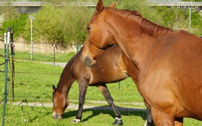 0Bc10686C56Fd5Ae65Cd9751D1989F22