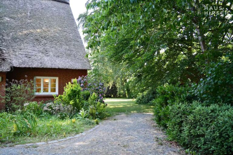 Blick zum Haus und Garten