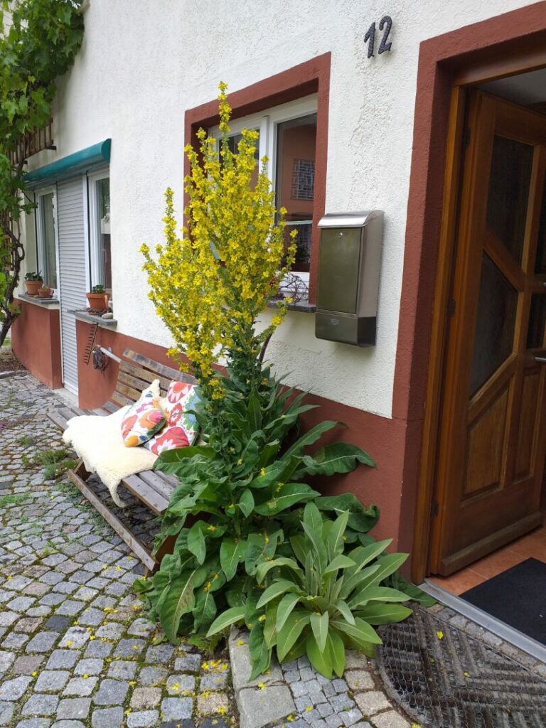 Eingangsbereich