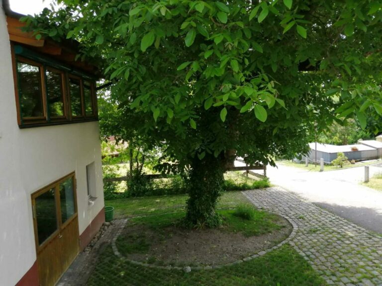 Hof vor dem Haus