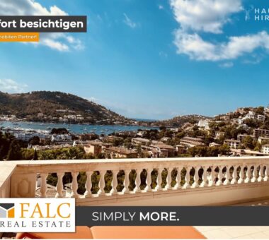 [Cover] Falc-Overlay-Image-[Time]