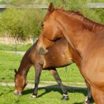 17Ba0Fc6Fc5Bd5834D29Db61A5D9F8Bf