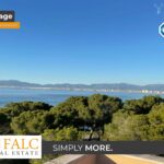 [Cover] E499146B-176F-46Ca-B61C-F45539F9F0Af_Original.jpg