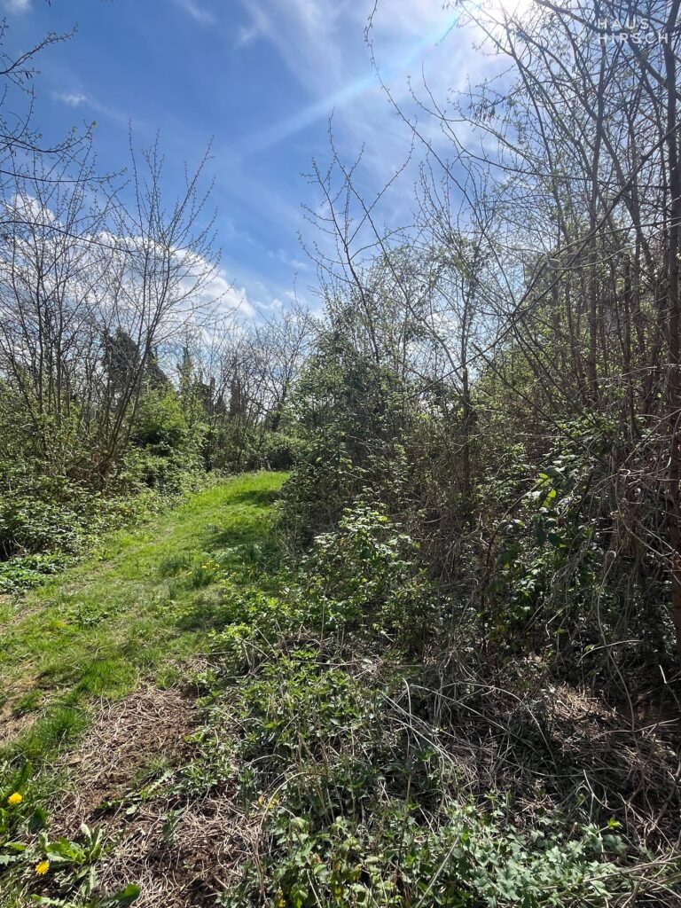 Hier könnte Ihr neues Zuhause entstehen