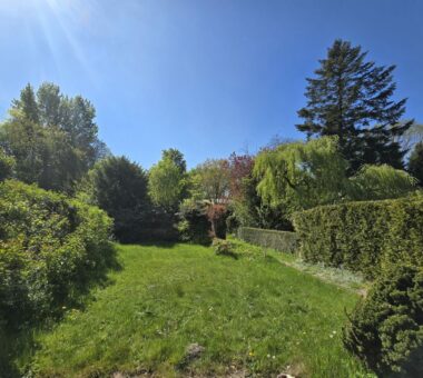 Traumhafter Garten