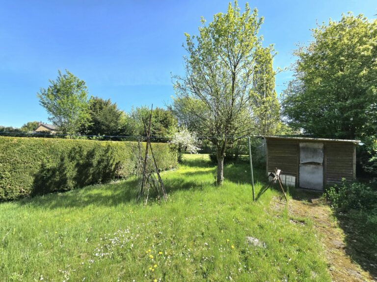 Sonniger Garten zum Relaxen