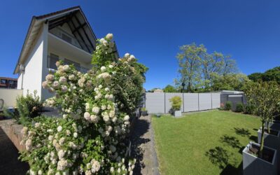 Garten + Haus