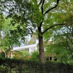 Gartenansicht