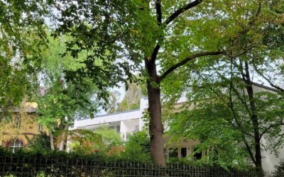 Gartenansicht