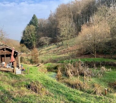 Idylle Mit Weitblick