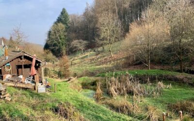 Idylle Mit Weitblick