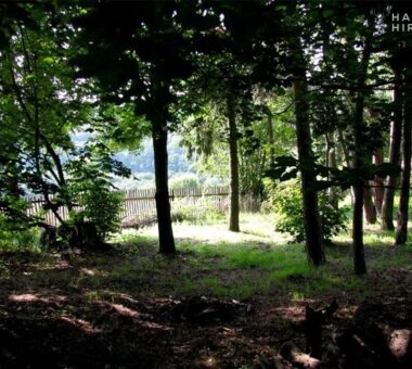 865M² Grundstück Am Ruhigen Waldrand | Ideal Für Einfamilienhaus Oder Doppelhaus 5 Grundstück