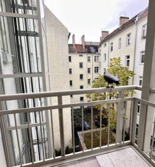 Aussicht Balkon