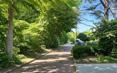 Direkt Am Park (30Er Zone)