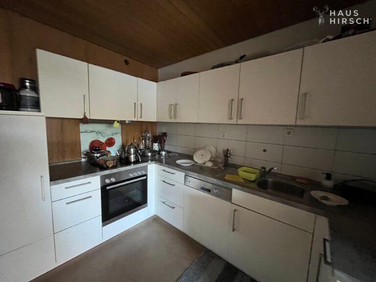 Küche untere Whg.