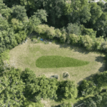 Allein _ Auf Weiter Flur