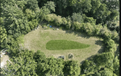 Objekte 4 Allein _ Auf Weiter Flur