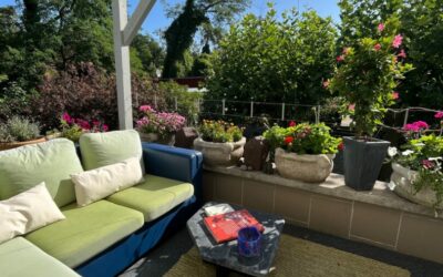 Objekte 8 Natur Pur!