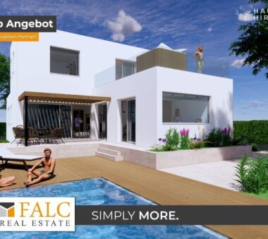 [Cover] Falc-Overlay-Image-%5Btime%5D.jpeg