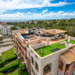 Dji_0225