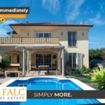 [Cover] Falc-Overlay-Image-%5Btime%5D.jpeg