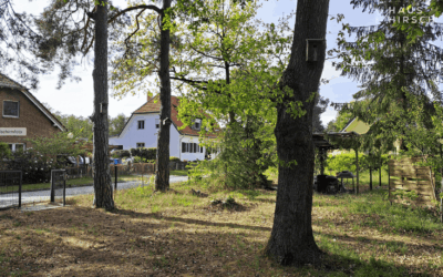 Objekte 1 Grundstück