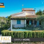 [Cover] Falc-Overlay-Image-%5Btime%5D.jpeg