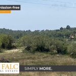 [Cover] Falc-Overlay-Image-%5Btime%5D.jpeg