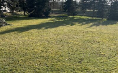 Immobilien 2 Grundstück