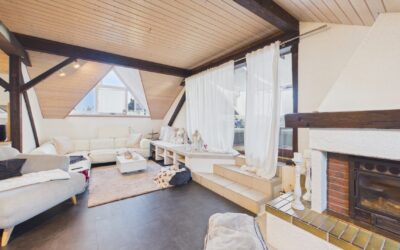 Immobilien 8 Wohnzimmer