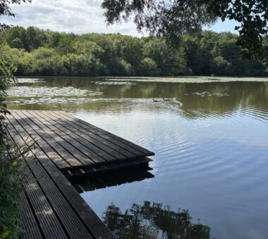 Der See In Der Nähe