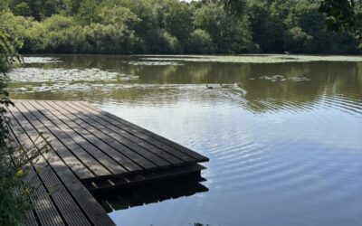 Der See In Der Nähe