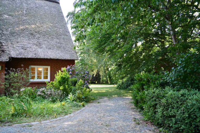 Blick zum Haus und Garten