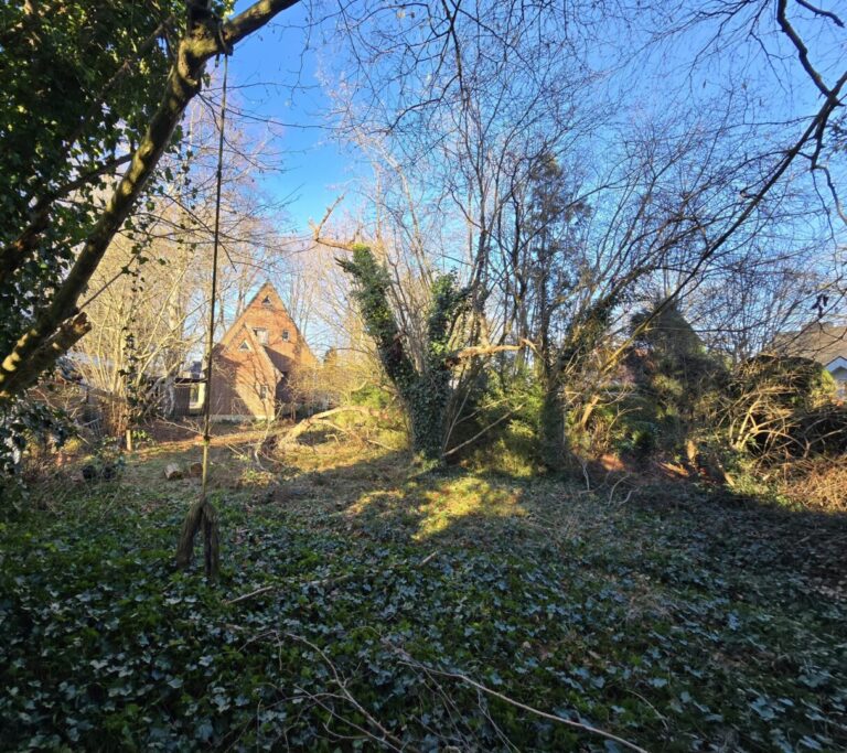 Rückwärtiger Garten