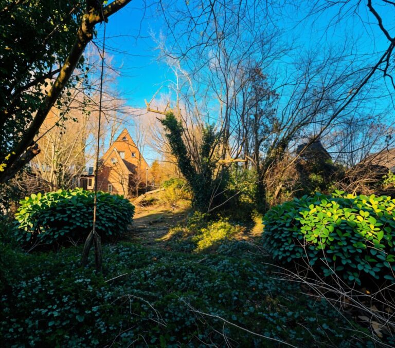 Rückwärtiger Garten - (KI generiert)