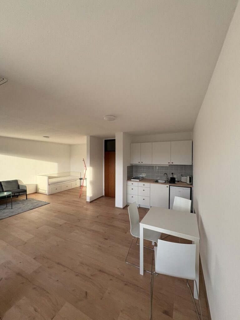 Wohnzimmer/Schlafzimmer