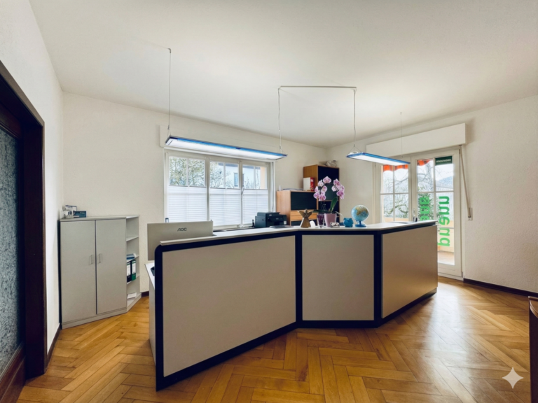 EG Empfang mit Zugang auf die Loggia