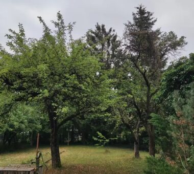 Grundstück I Haunstetten