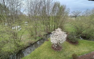 Blick In Die Landschaft