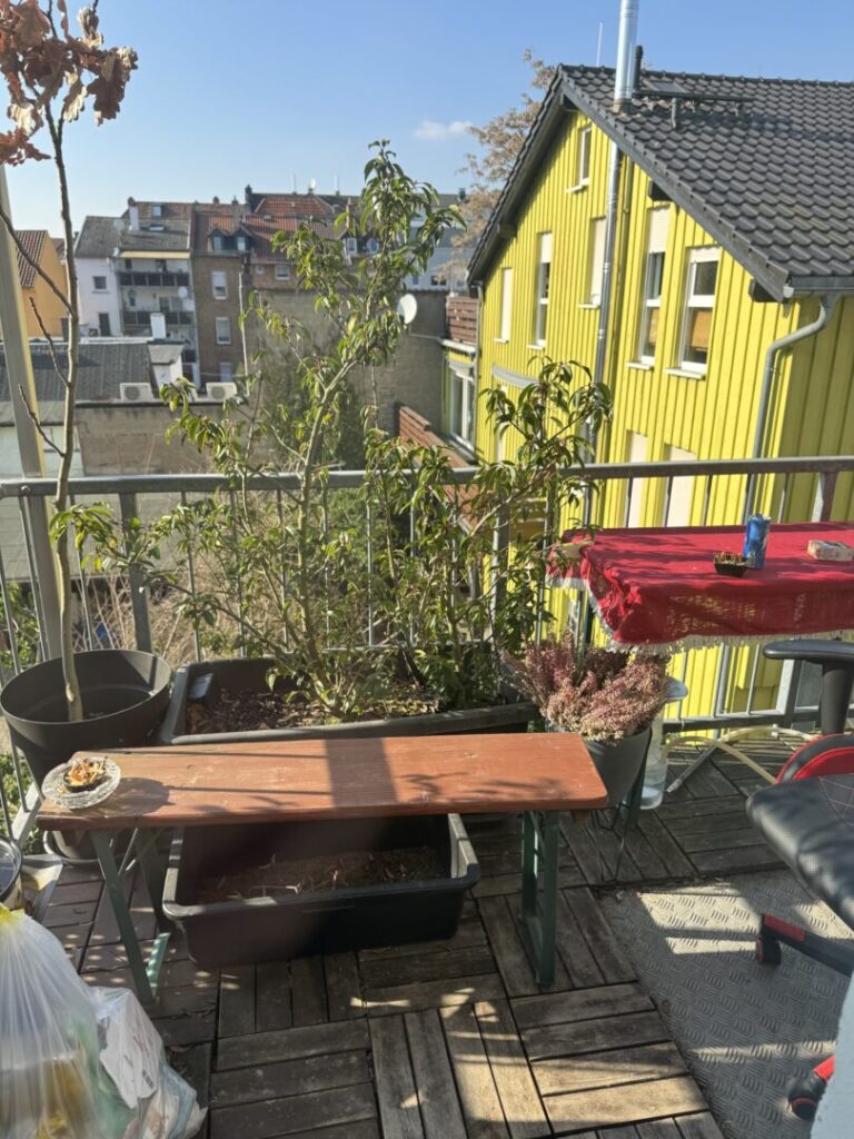 Sonnenbalkon