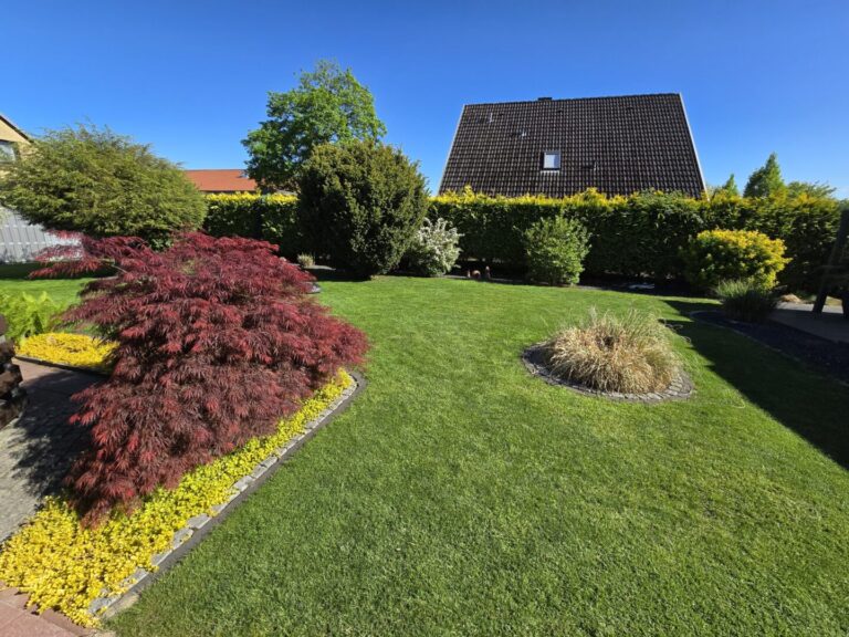 Blick von der Terrasse