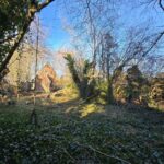 Garten In Süd-Westausrichtung