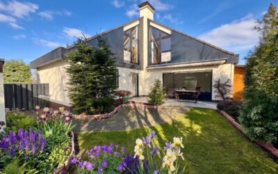 Immobilien 4 Ansicht Hinten Mit Garten