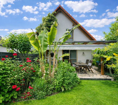 Ansicht Hinten Mit Terrasse