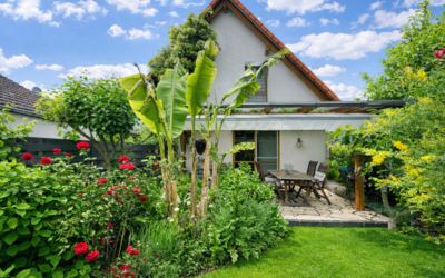 Ansicht Hinten Mit Terrasse