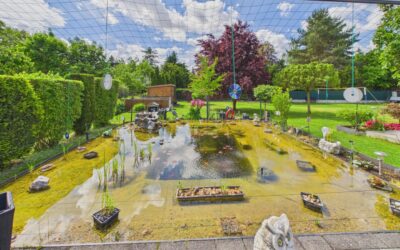 Immobilien 4 Teich